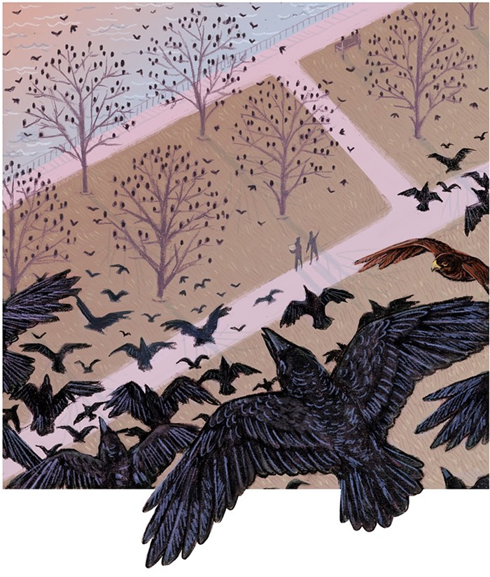 Portland&rsquo;s Crows Are Back. So Are the Laser-Guided Hawks That Scare Them Off.